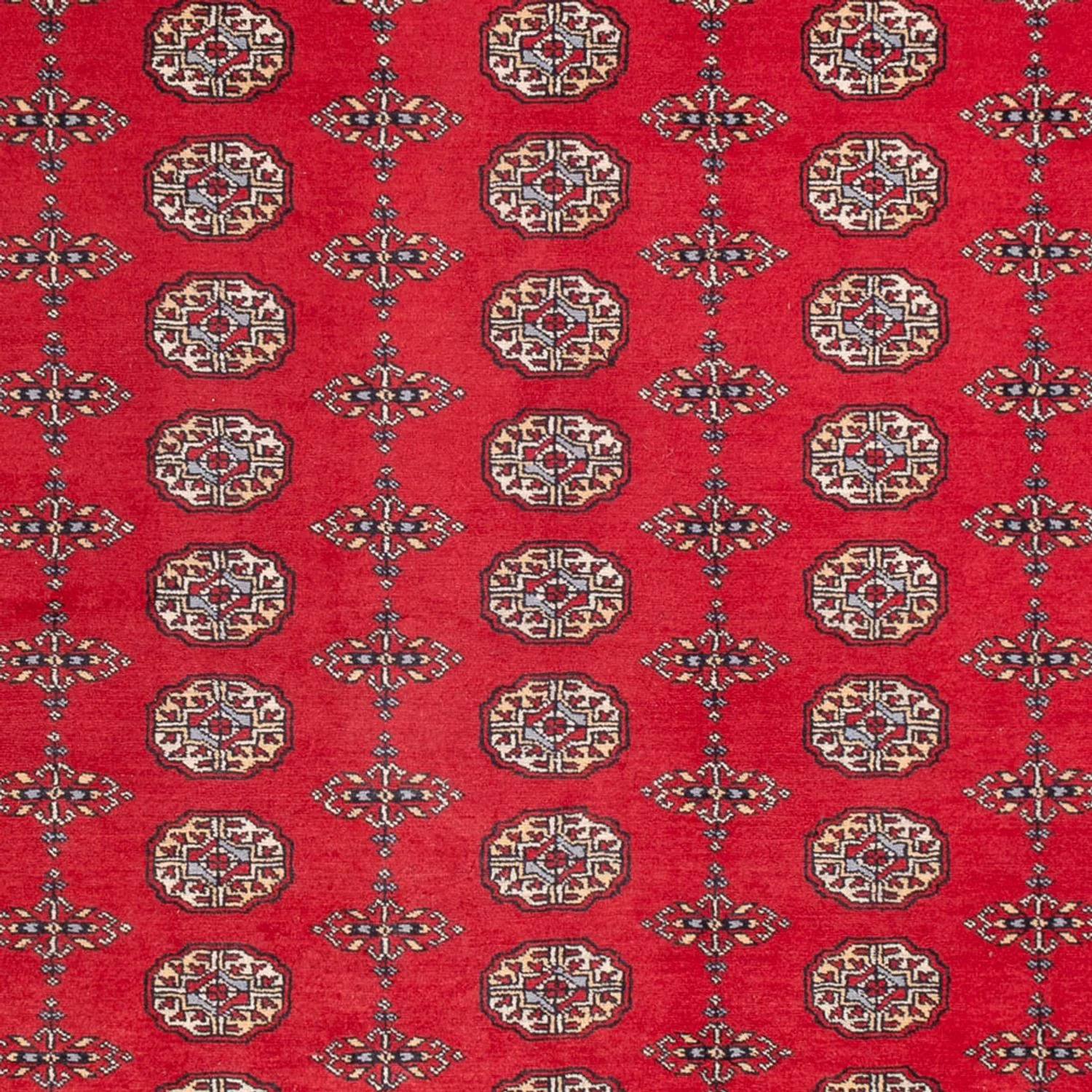 Buchara Teppich 310x250cm - Orientteppich - Image 2