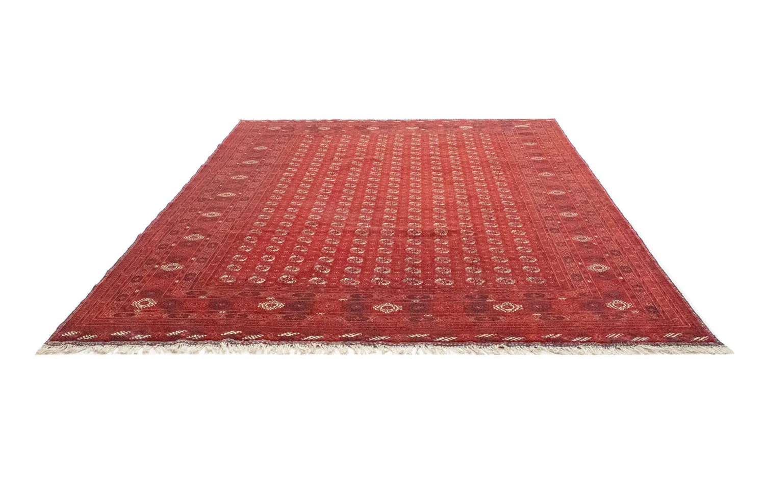 Afghan Teppich - Buchara 342 x 243 cm - dunkelrot - Image 5