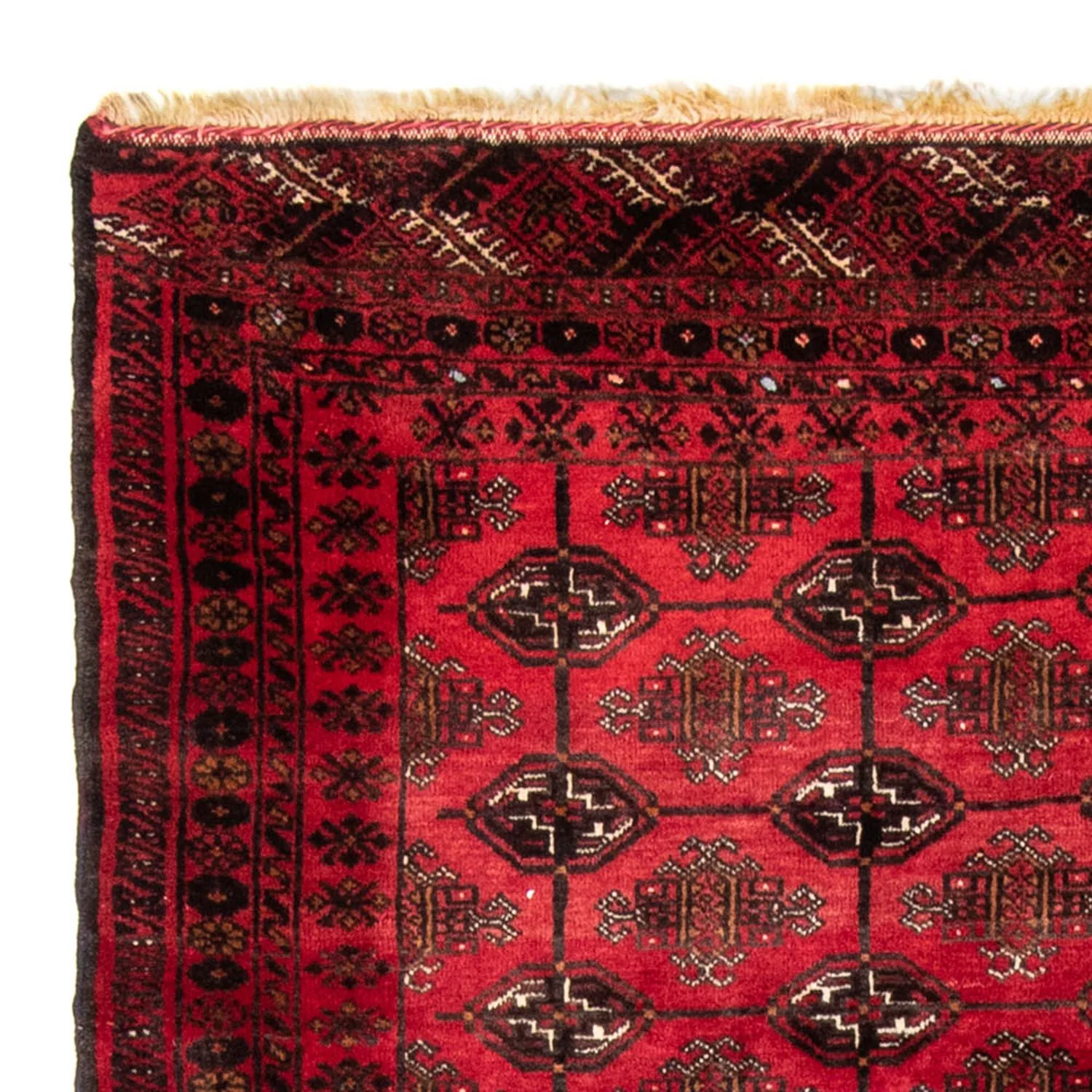 Belutsch Teppich 207 x 133 cm - rot - Image 3