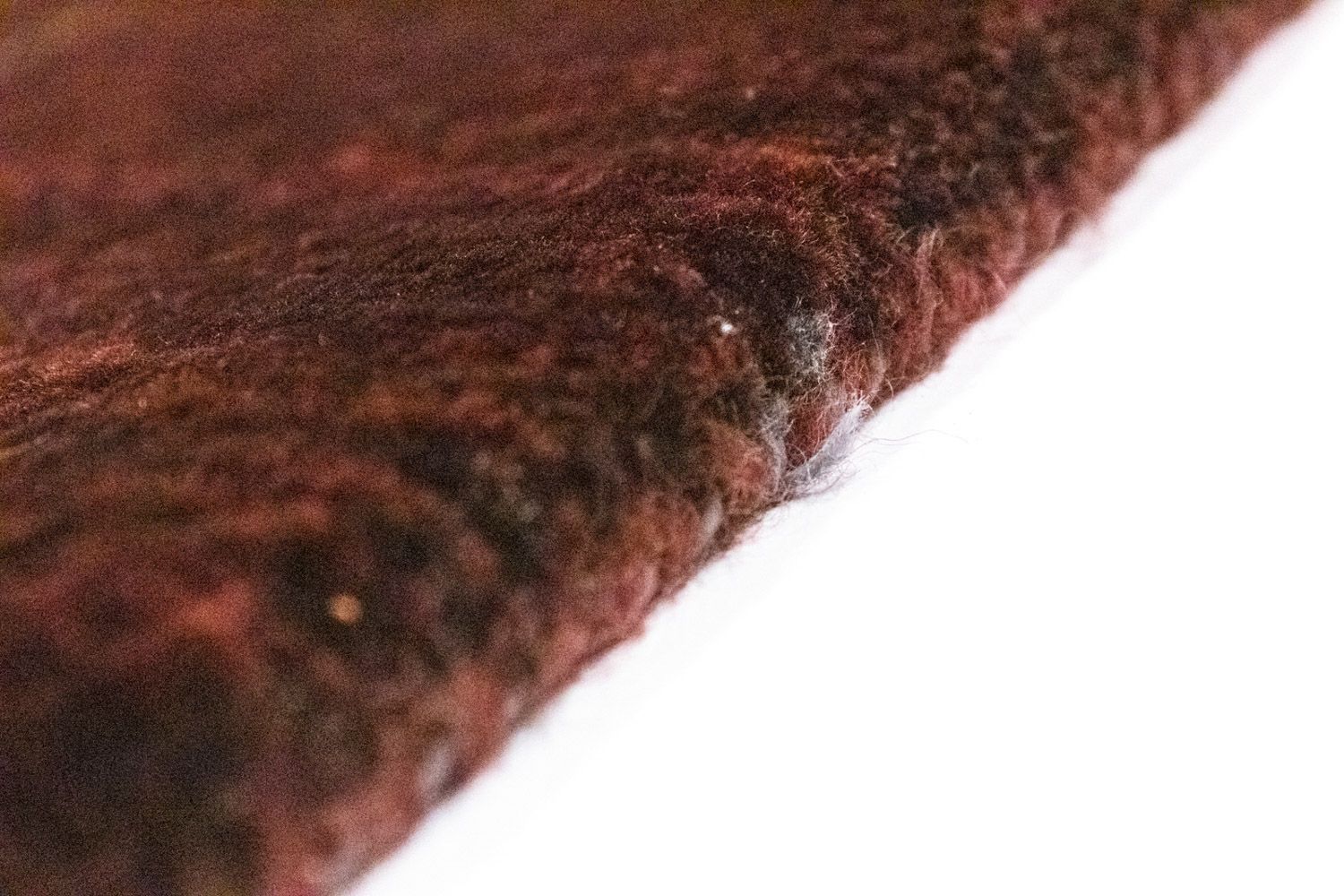 Gabbeh Teppich - Loribaft Indus 237 x 169 cm - mehrfarbig - Image 3