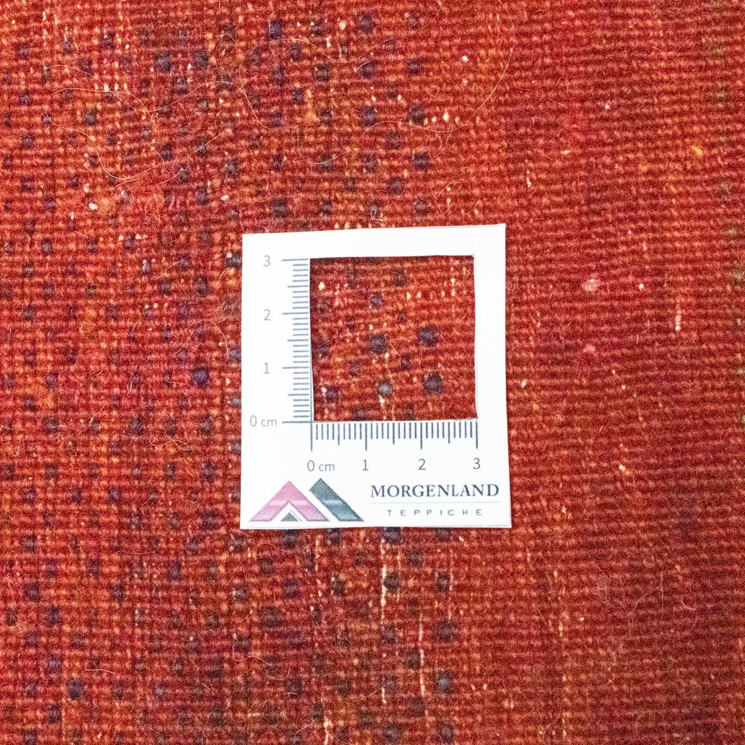 Gabbeh Teppich - Loribaft Indus 293 x 189 cm - rot - Image 6