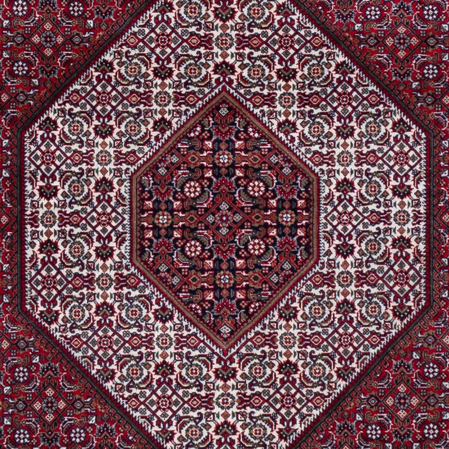 Indo Bidjar Teppich 300x247cm - Orientteppich - Image 2