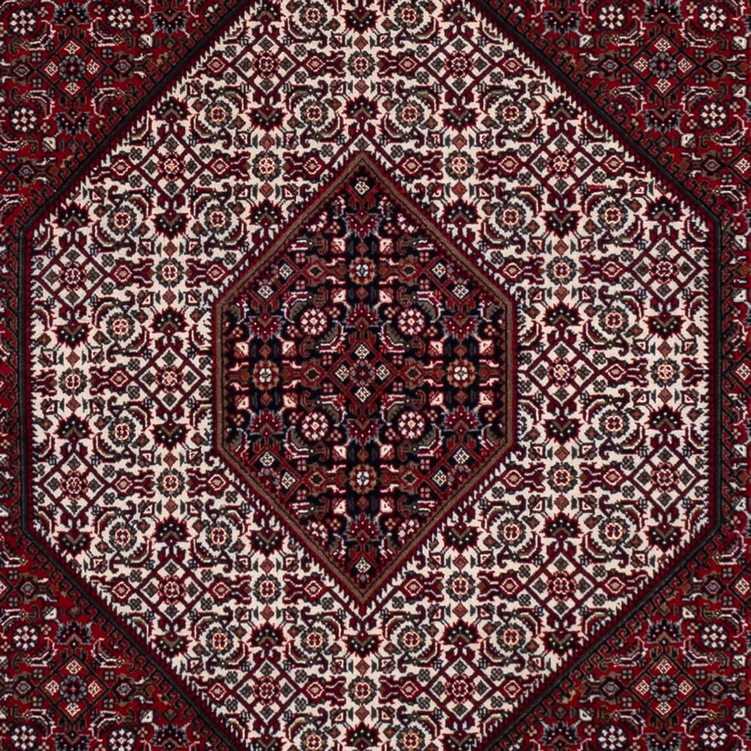 Indo Bidjar Teppich 304x251cm - Orientteppich - Image 2