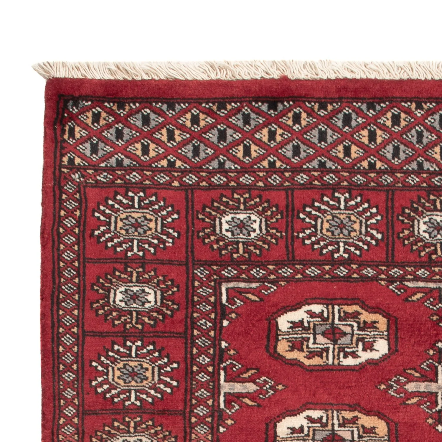Pakistan Teppich 144x91cm - Orientteppich - Image 3