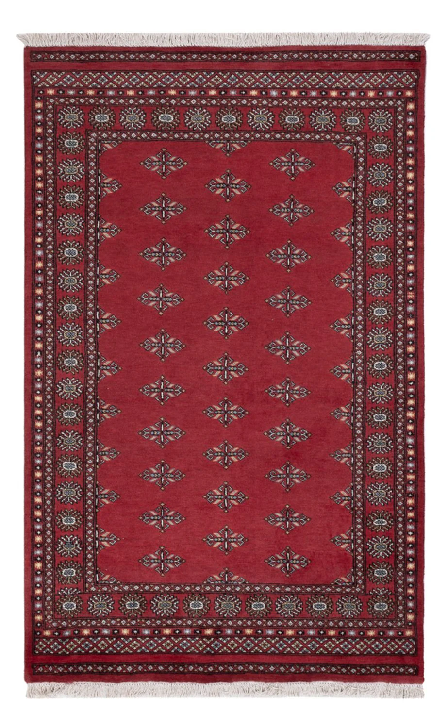 Pakistan Teppich 215x137cm - Orientteppich