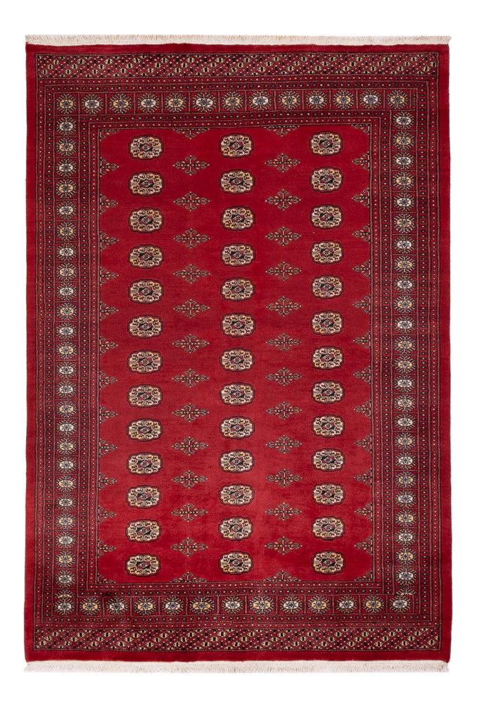 Pakistan Teppich 235x165cm - Orientteppich