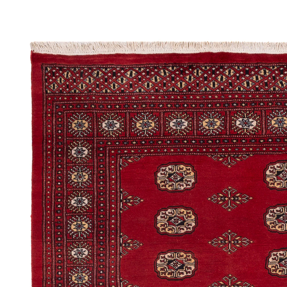 Pakistan Teppich 235x165cm - Orientteppich - Image 3
