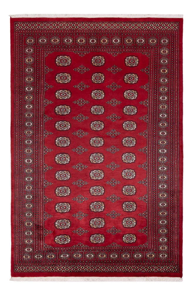 Pakistan Teppich 249x167cm - Orientteppich
