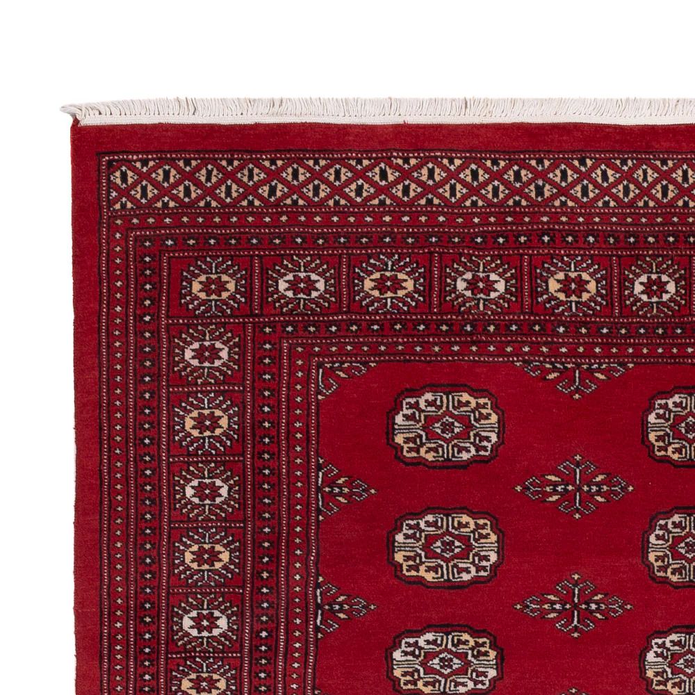 Pakistan Teppich 249x167cm - Orientteppich - Image 3