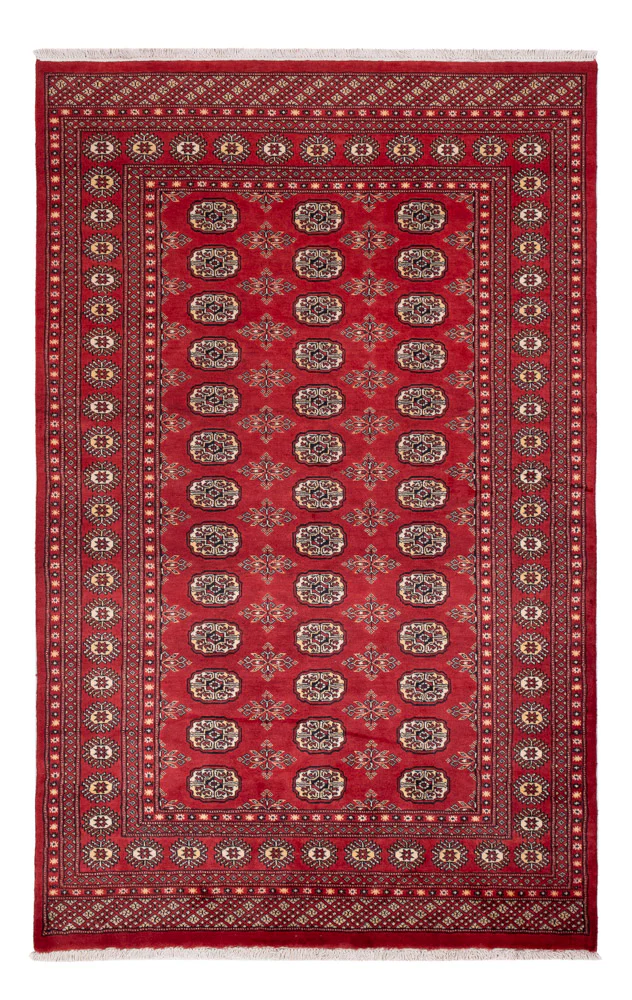 Pakistan Teppich 250x159cm - Orientteppich