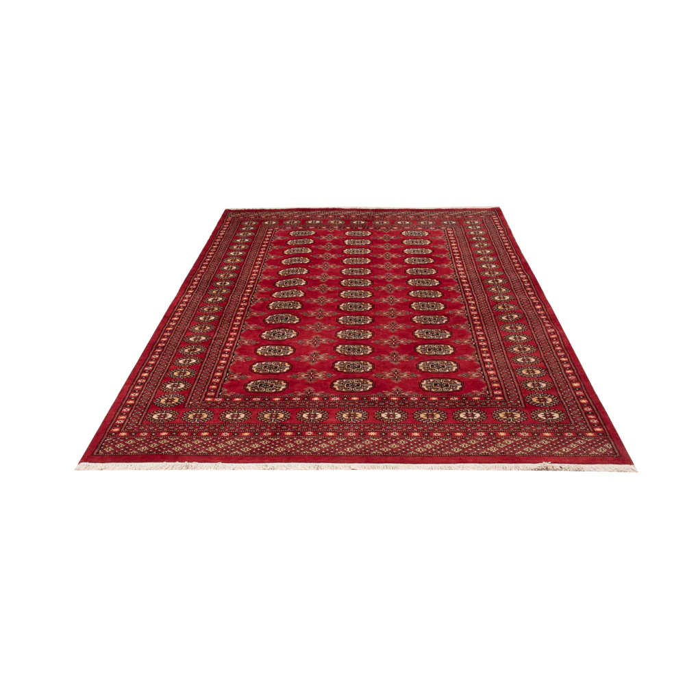 Pakistan Teppich 250x159cm - Orientteppich - Image 5