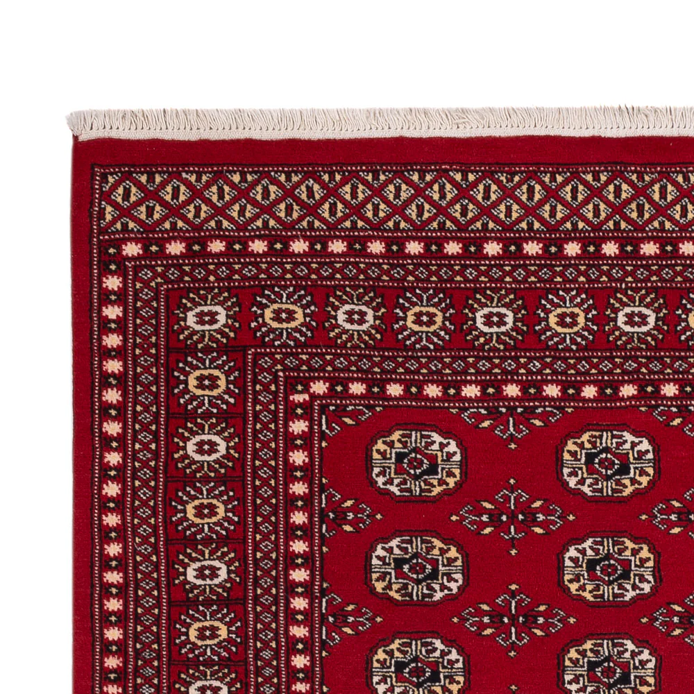 Pakistan Teppich 256x167cm - Orientteppich - Image 3