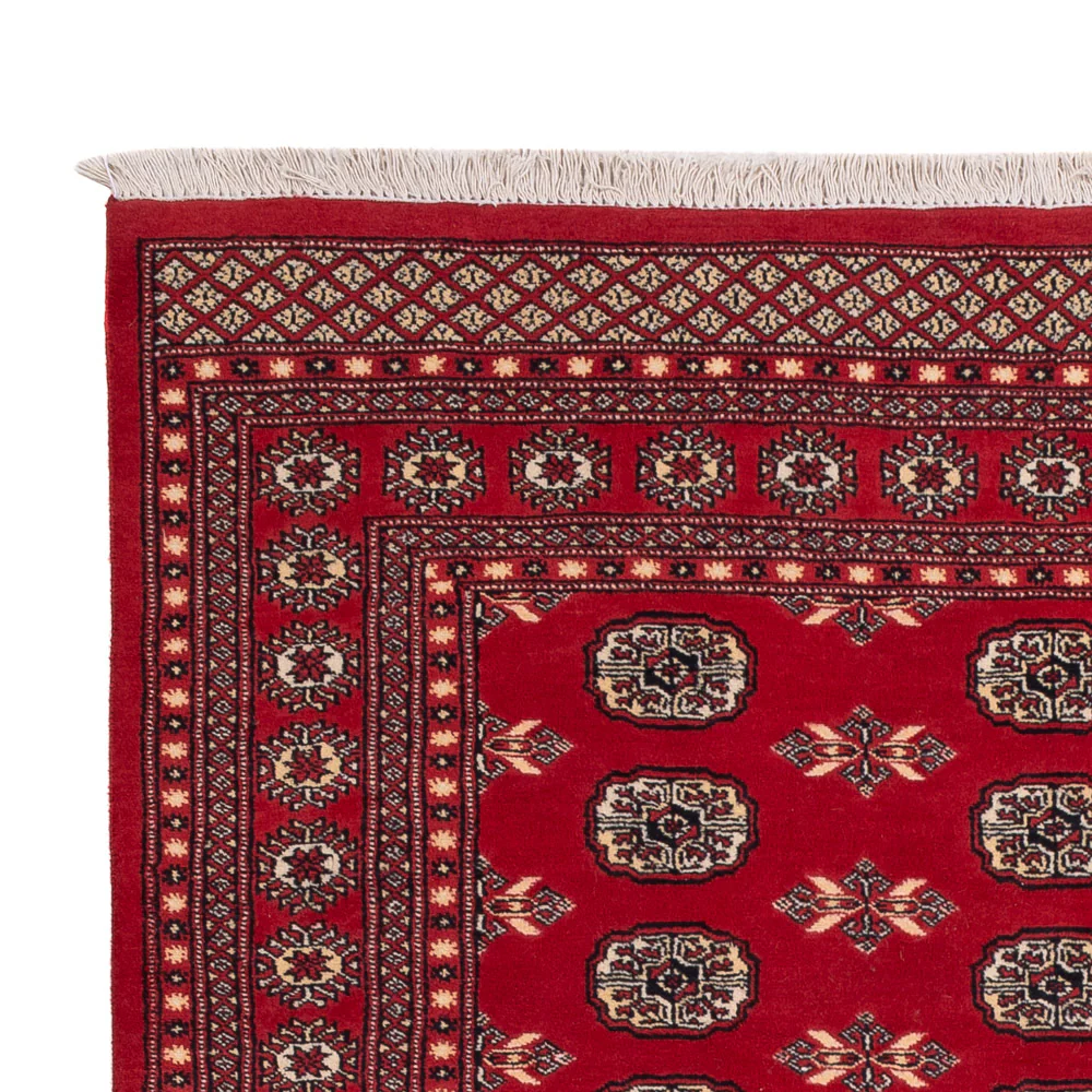 Pakistan Teppich 258x179cm - Orientteppich - Image 3