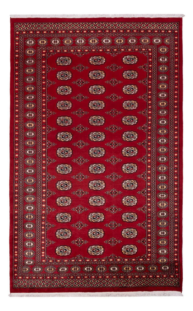 Pakistan Teppich 266x167cm - Orientteppich