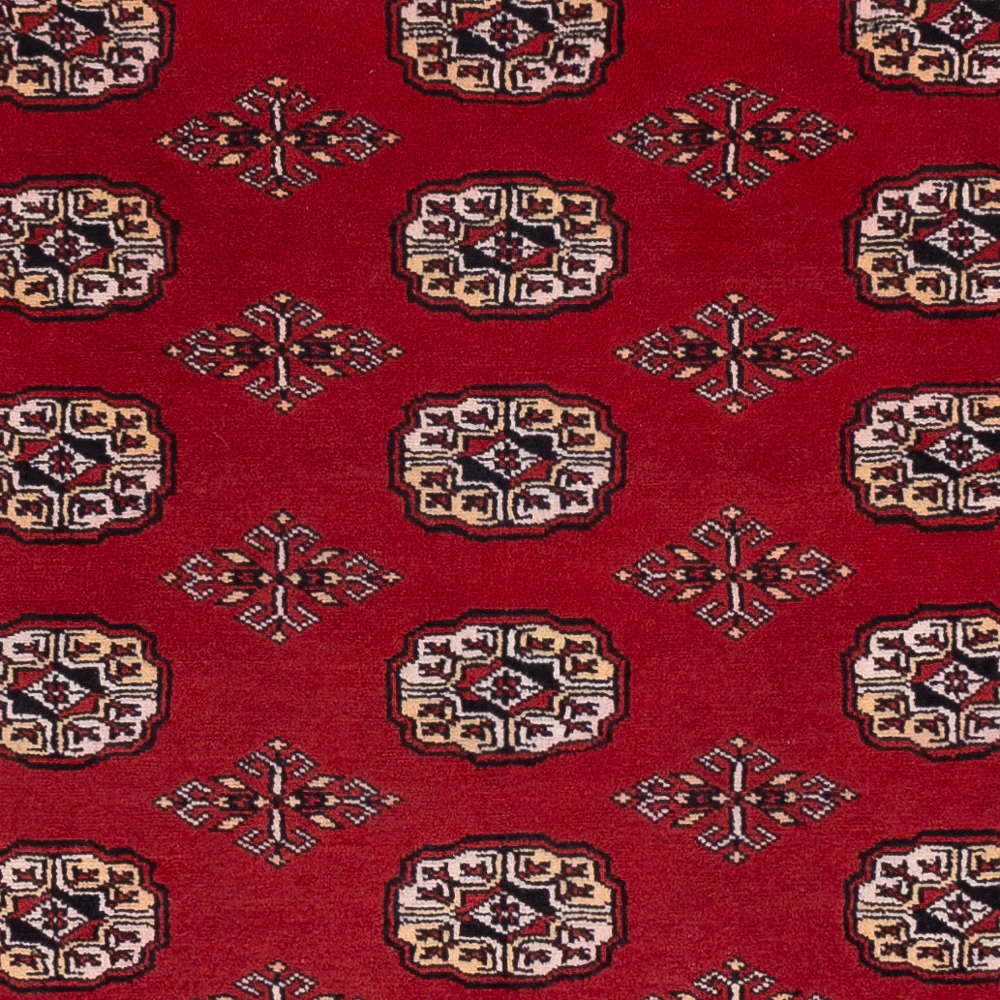 Pakistan Teppich 266x167cm - Orientteppich - Image 2