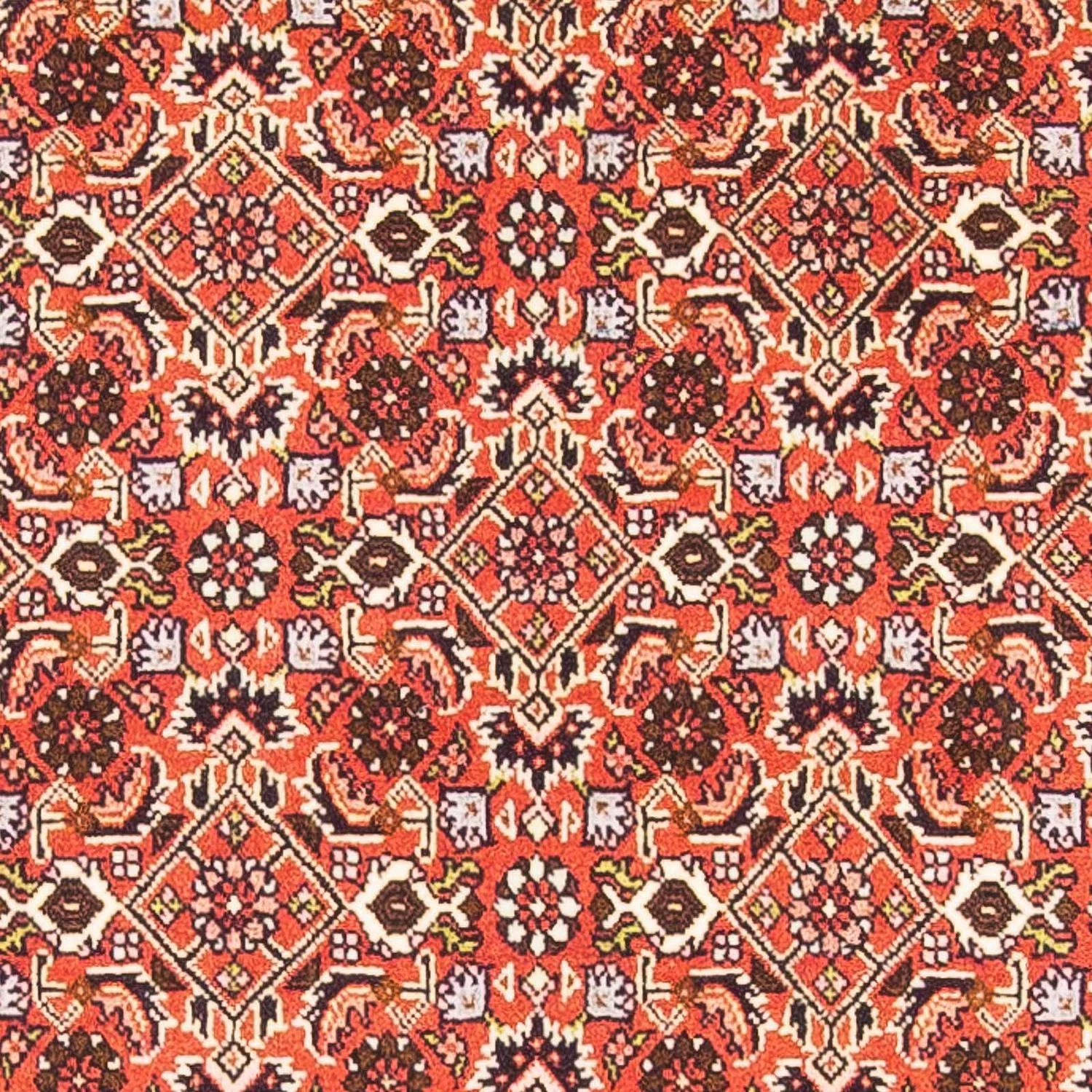 Perserteppich - Bidjar 148 x 84 cm - rot - Image 2