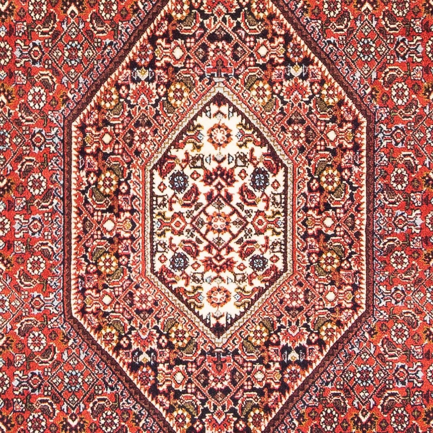 Perserteppich - Bidjar 190 x 110 cm - rot - Image 2