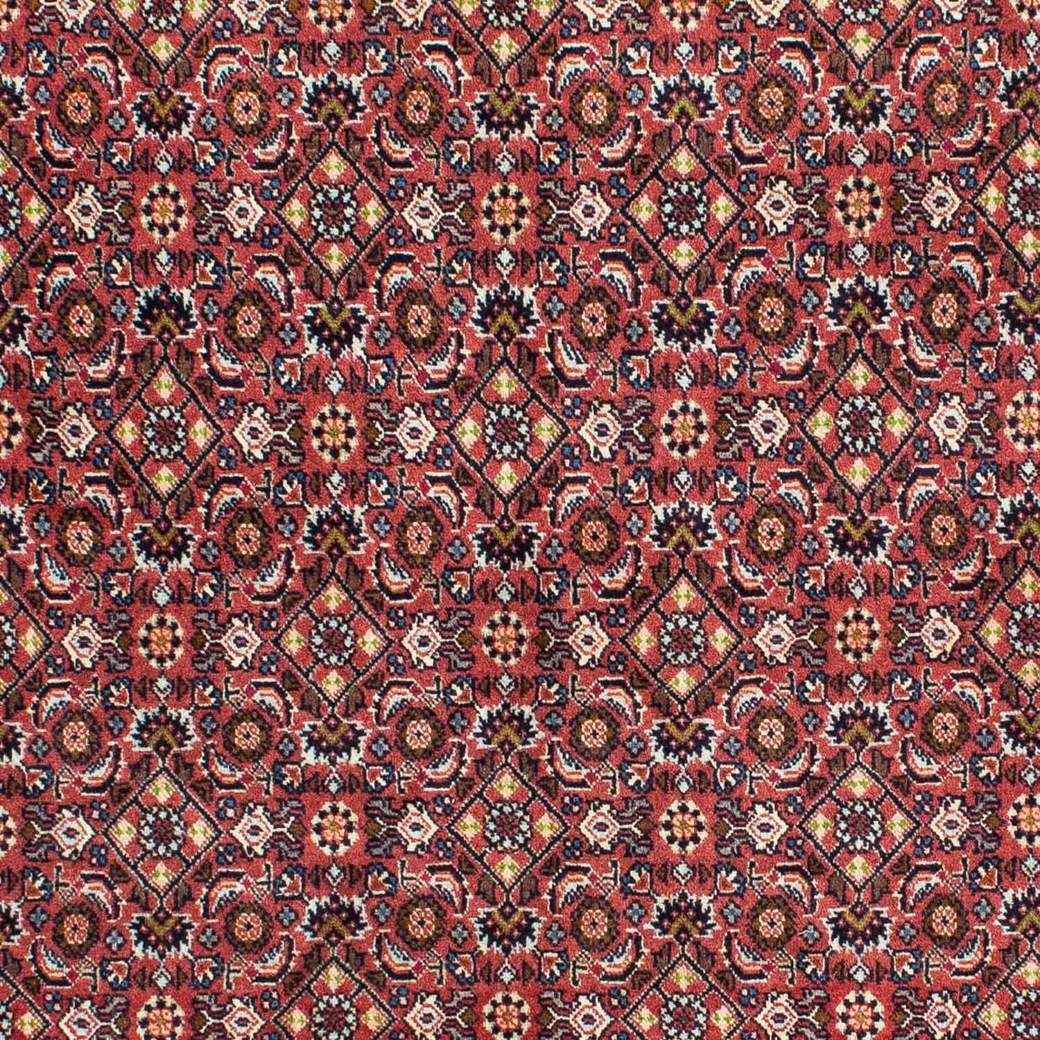 Bidjar - Zanjan Teppich 215x140cm - Perserteppich - Image 2