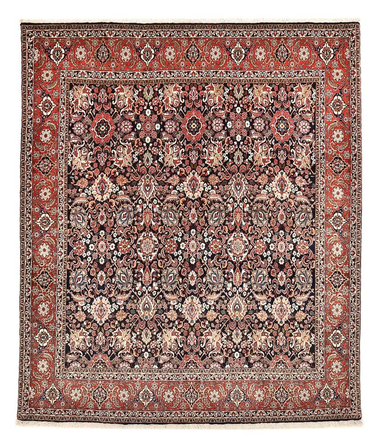 Bidjar Teppich 247x210cm - Perserteppich