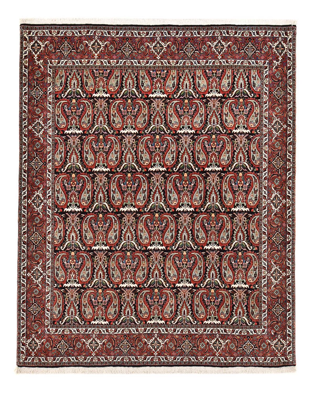 Bidjar Teppich 248x208cm - Perserteppich