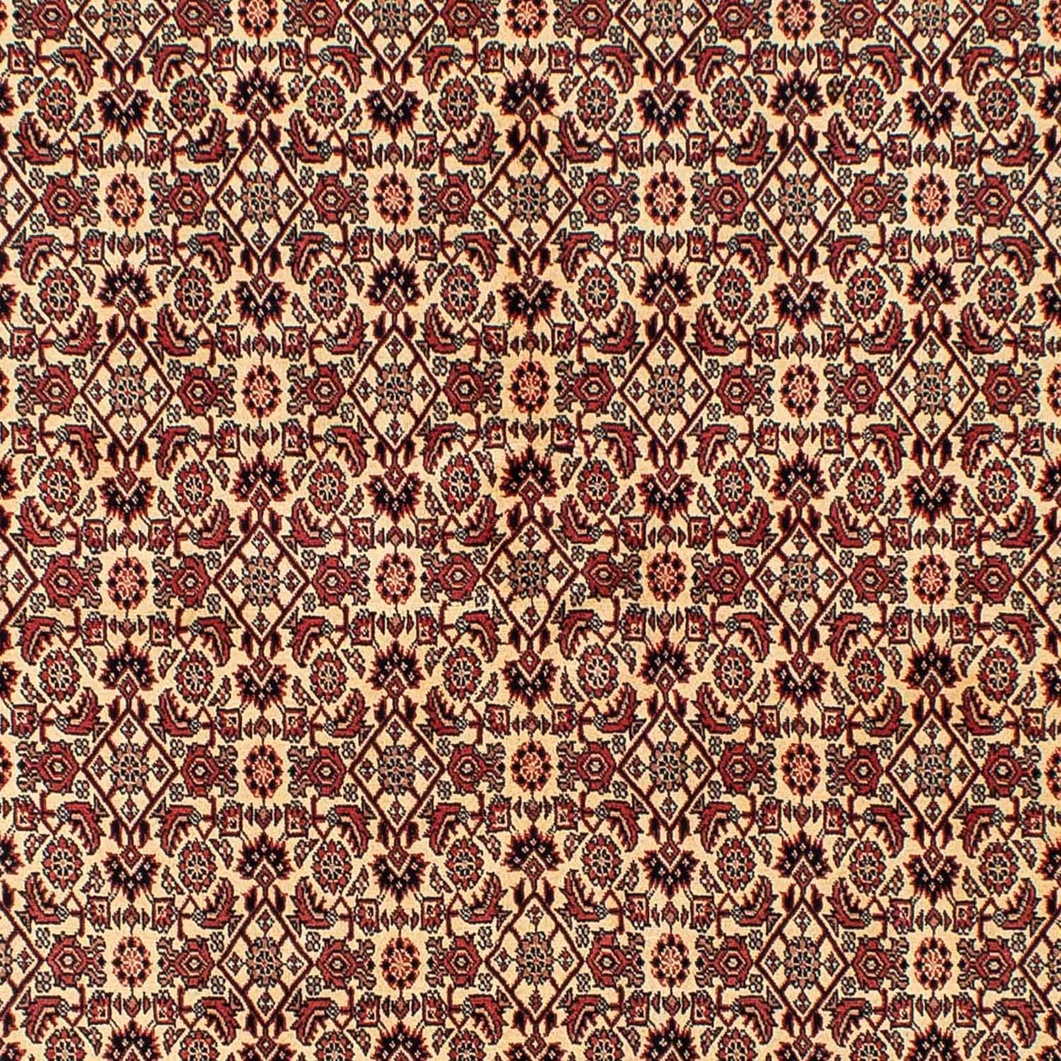 Bidjar Teppich 254x171cm - Perserteppich - Image 2