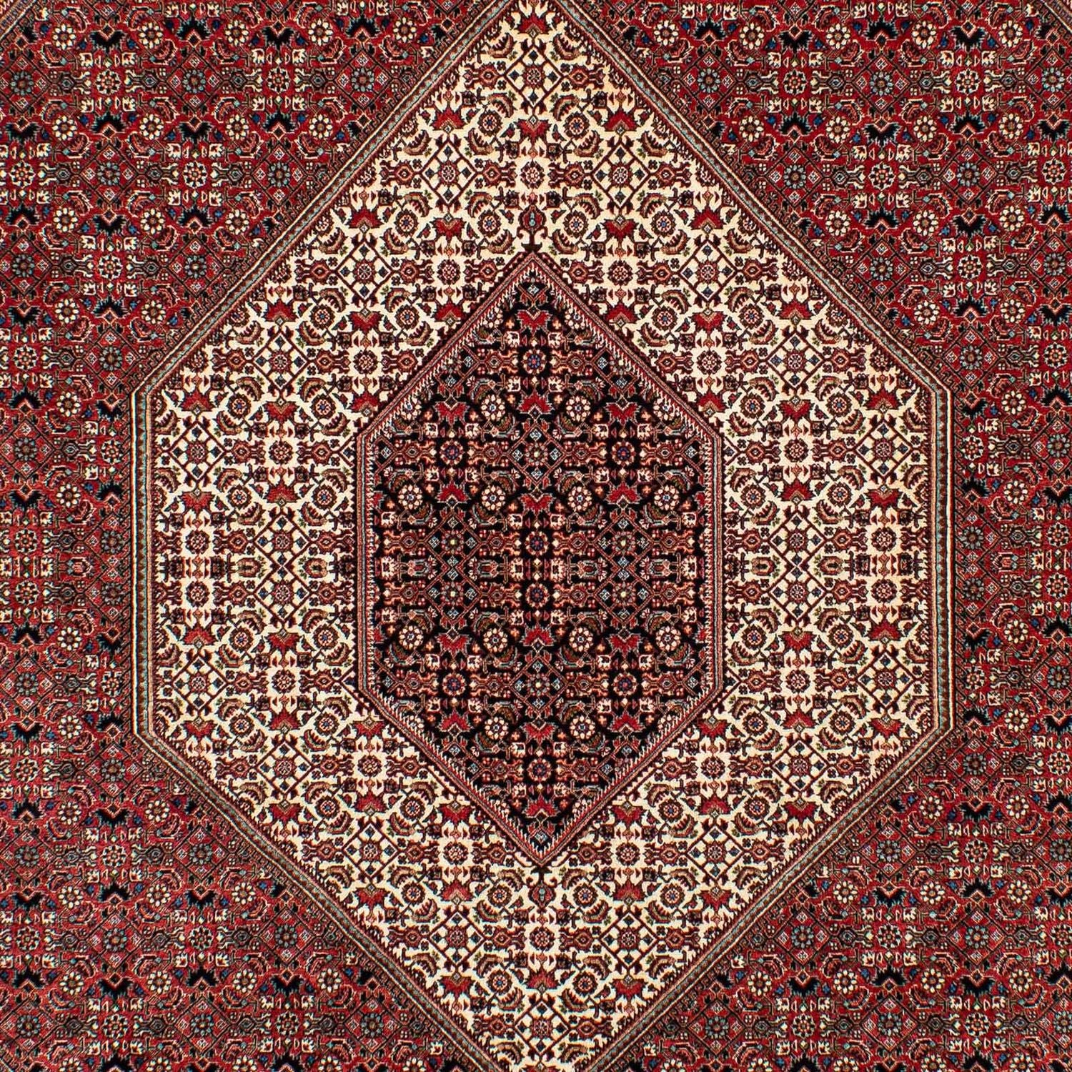 Bidjar Teppich 305x203cm - Perserteppich - Image 2