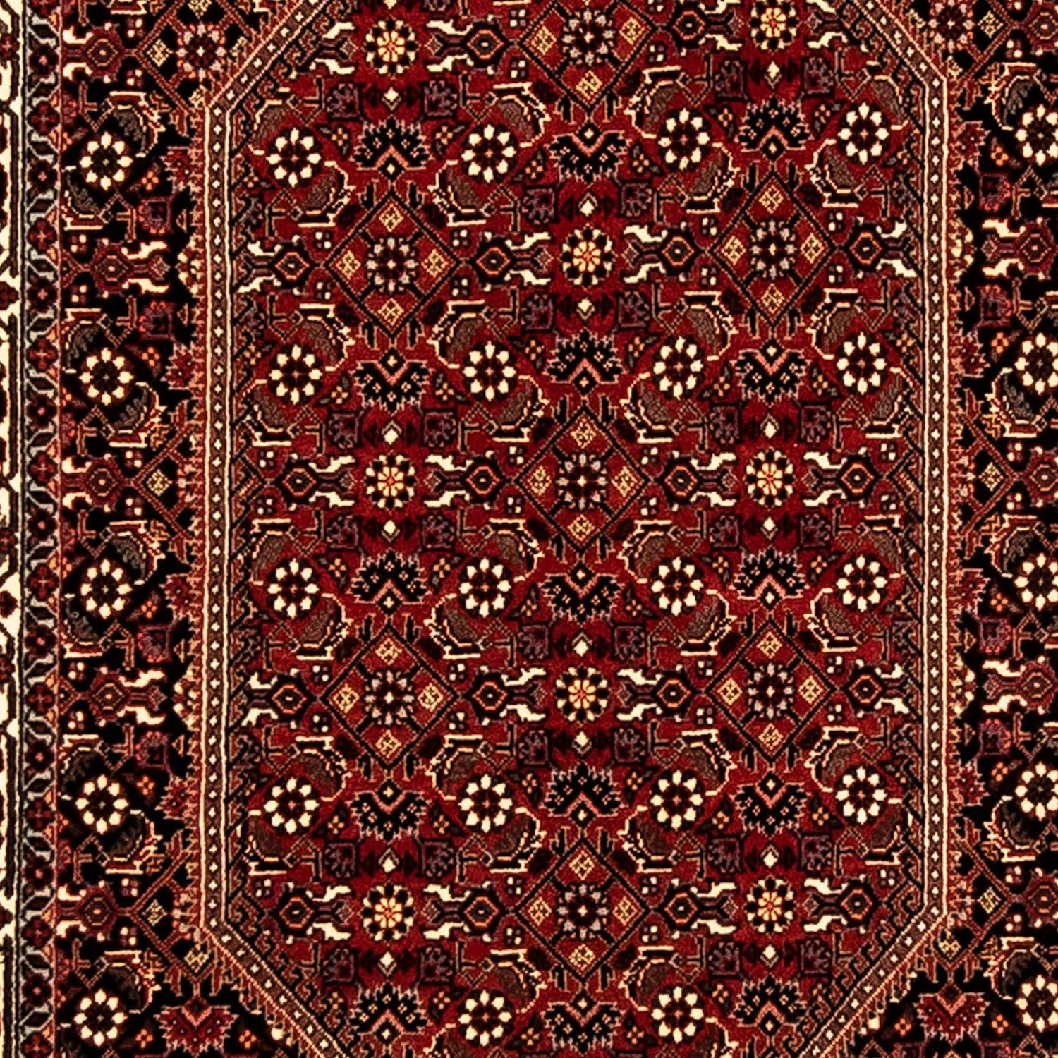 Bidjar Teppich 310x83cm - Perserteppich - Image 2