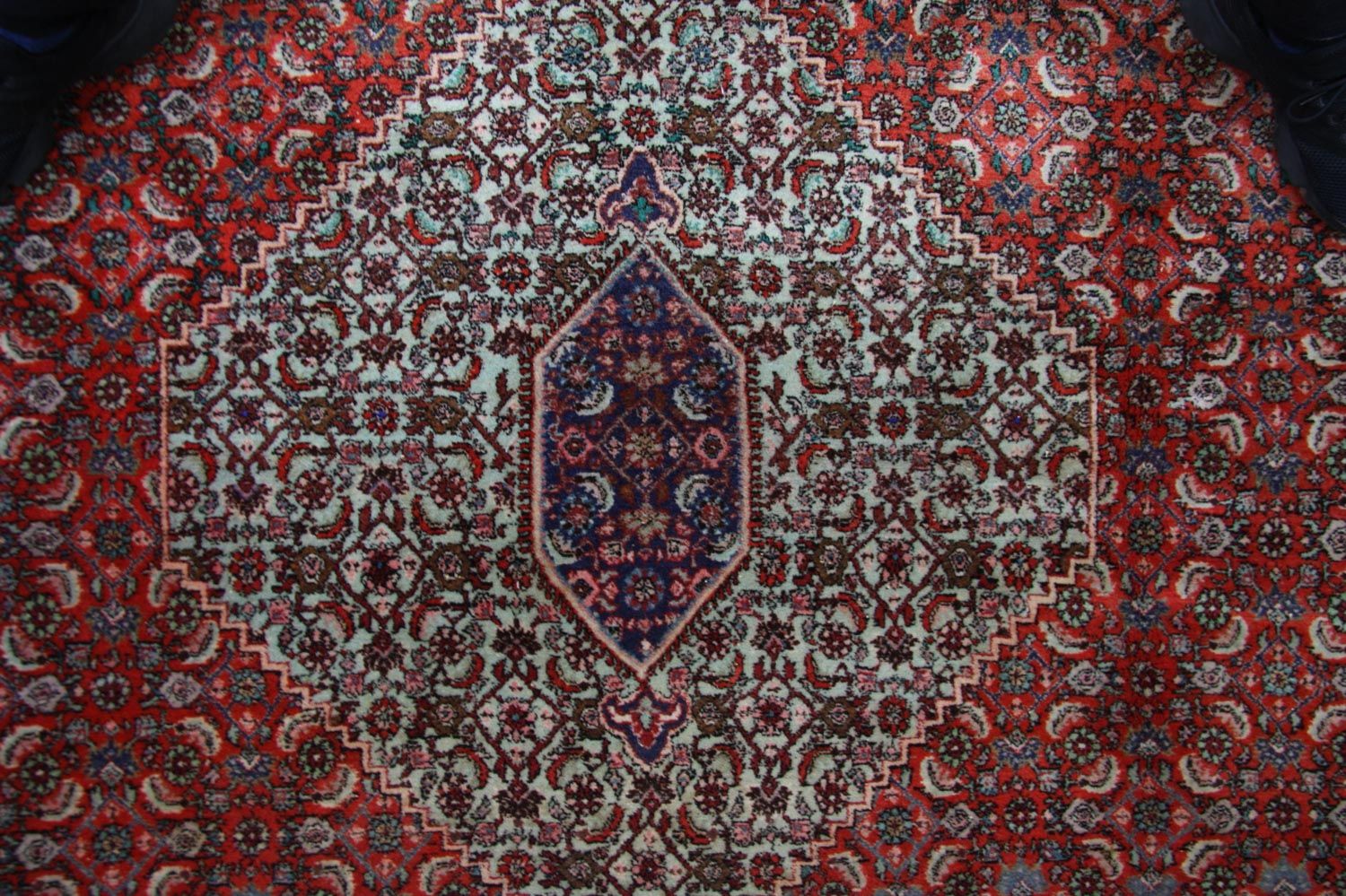 Perserteppich - Bidjar 335 x 245 cm - braun - Image 2