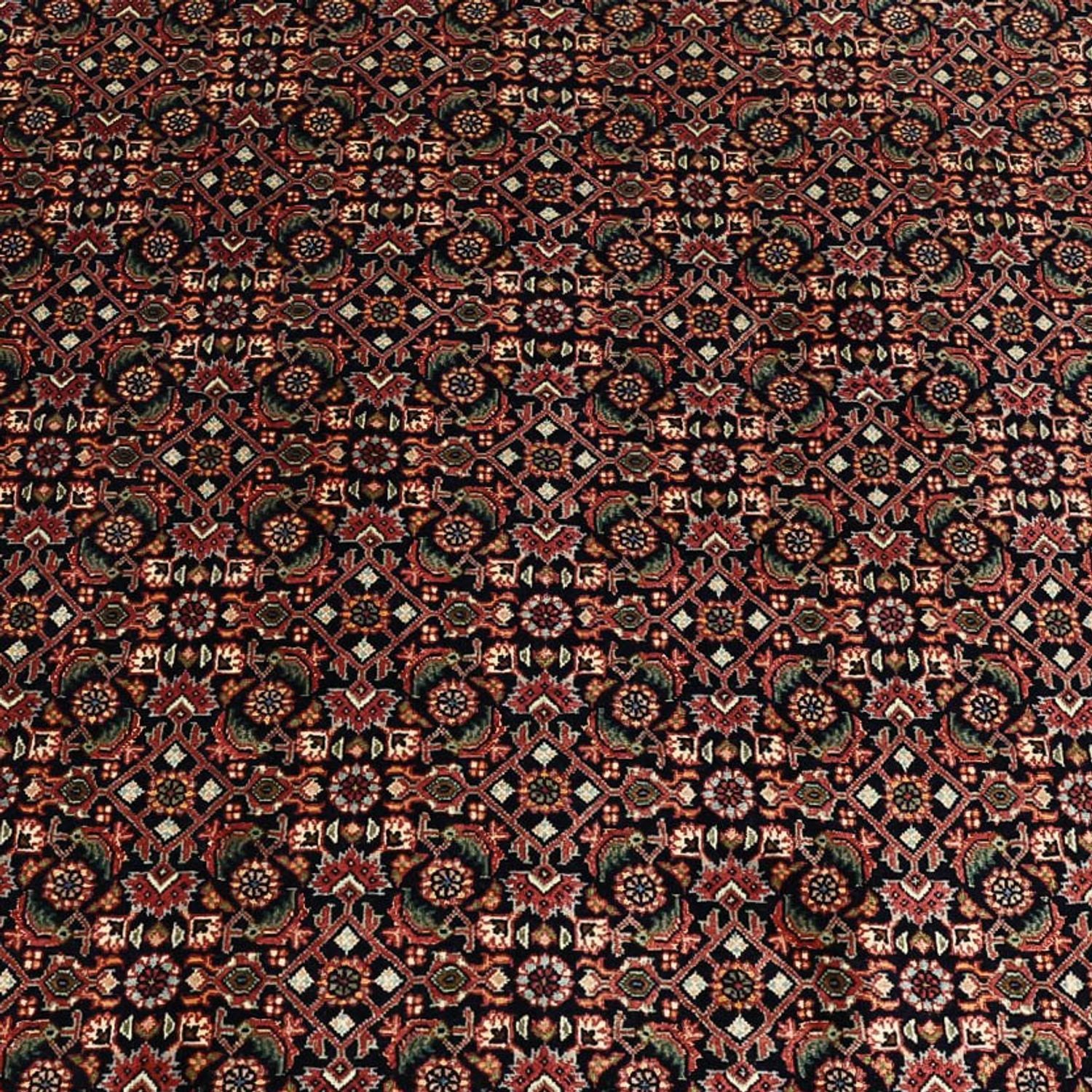 Bidjar Teppich 337x255cm - Perserteppich - Image 2