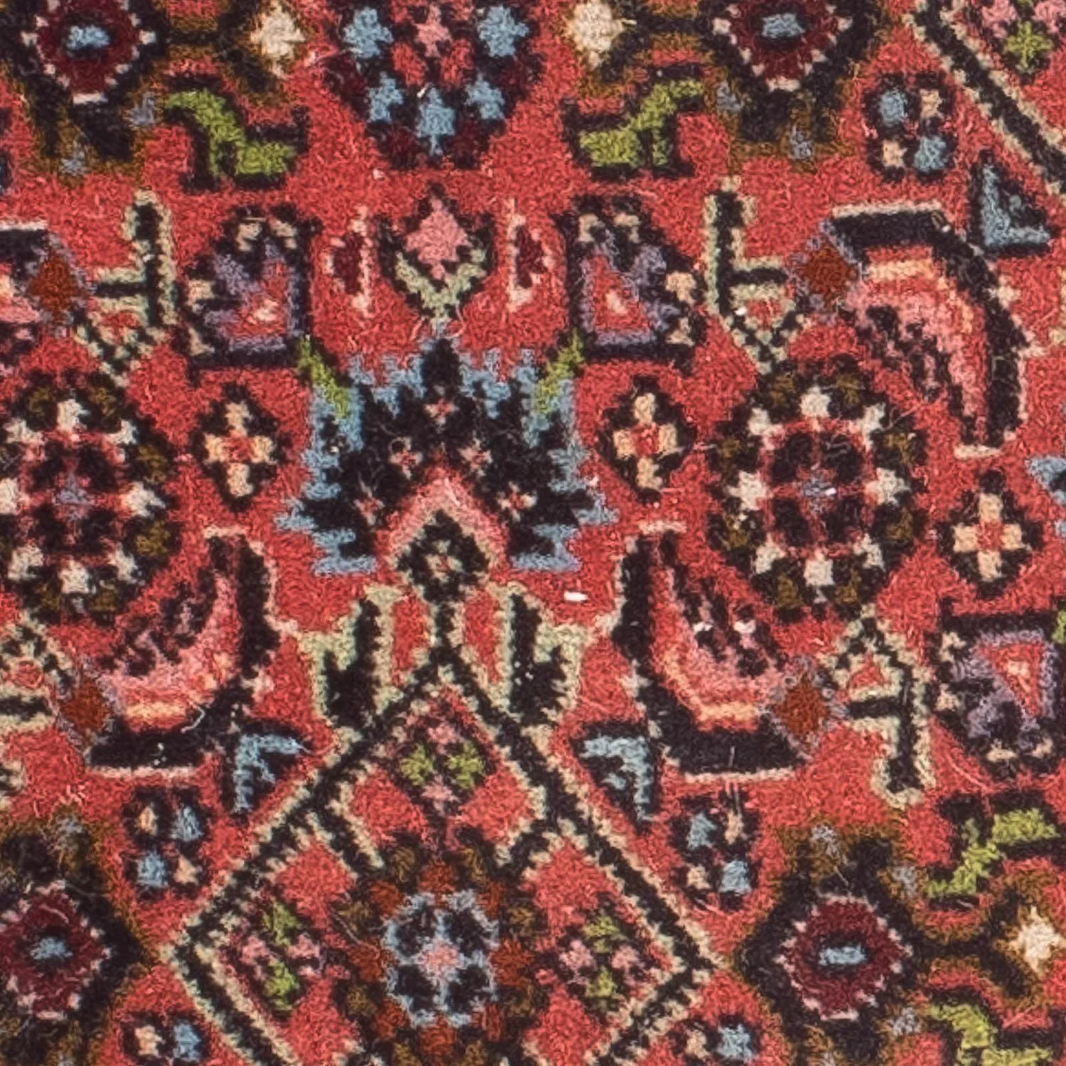 Perserteppich - Bidjar 60 x 40 cm - hellrot - Image 3