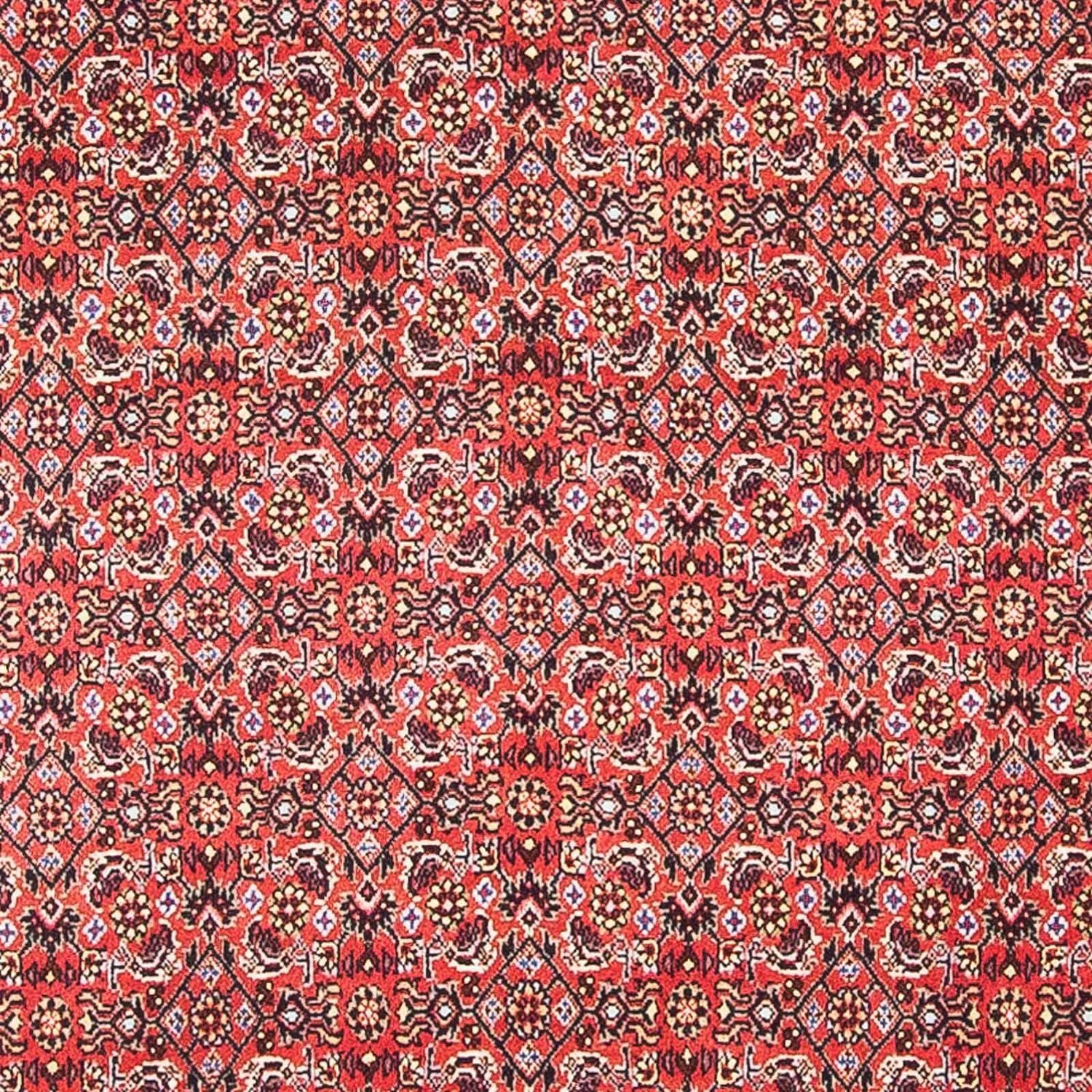 Perserteppich - Bidjar - Royal 105 x 101 cm Teppich Quadratisch - Image 2