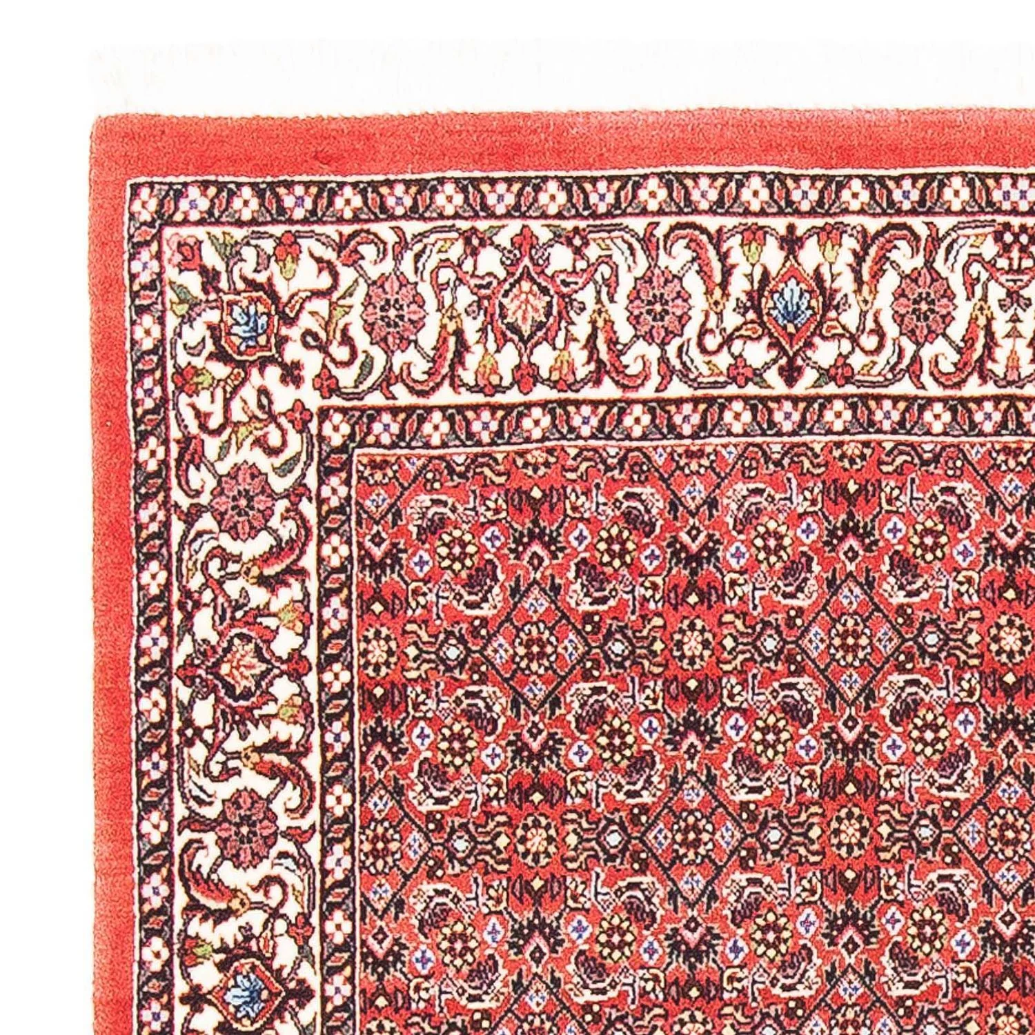Perserteppich - Bidjar - Royal 105 x 101 cm Teppich Quadratisch - Image 3