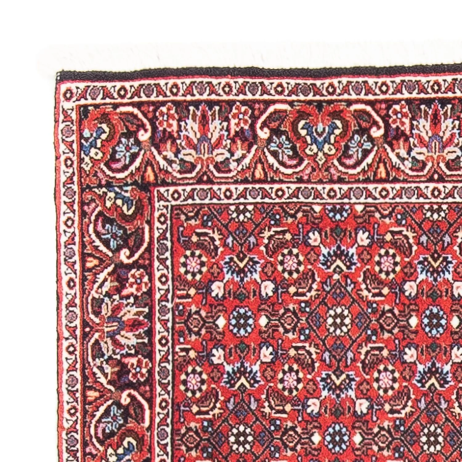 Perserteppich - Bidjar - Royal 139 x 70 cm - rot - Image 3