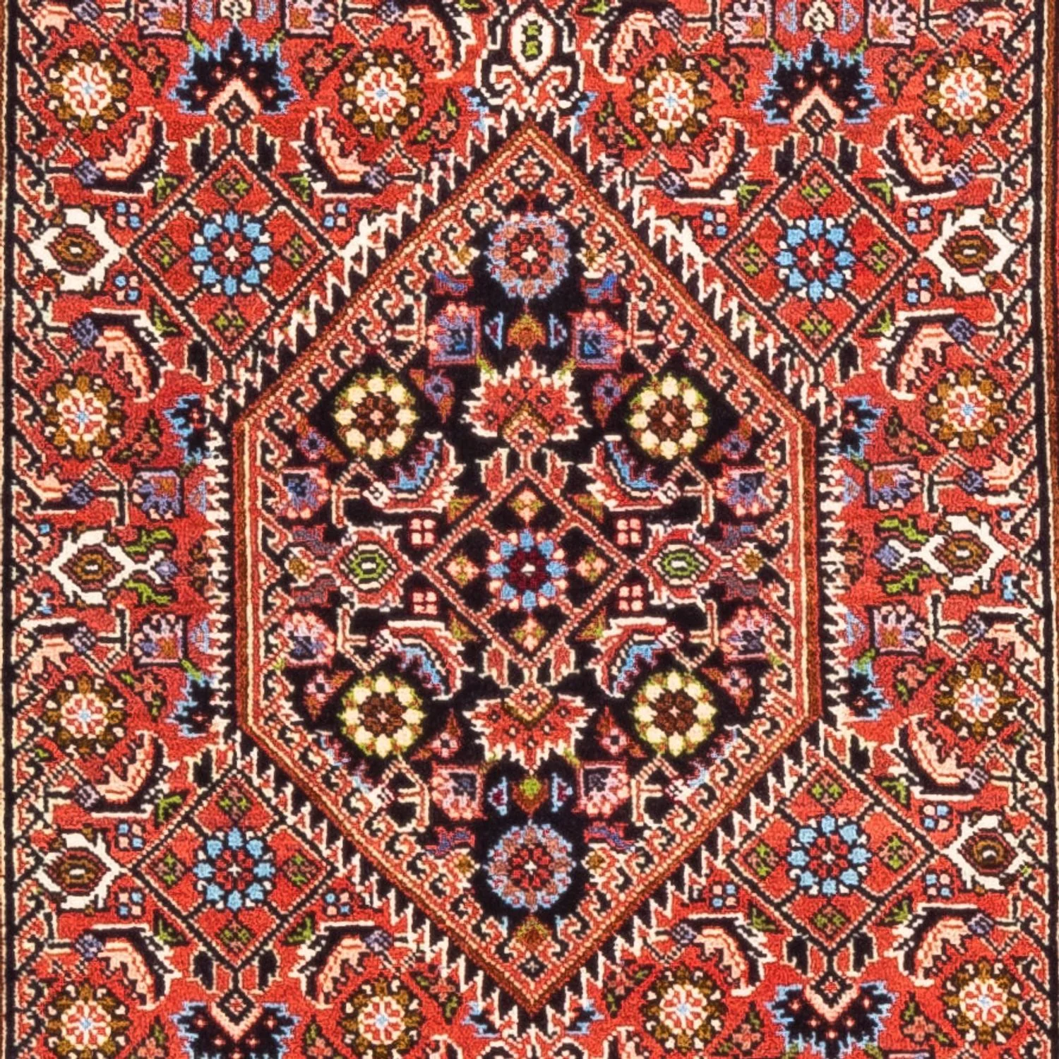 Bidjar - Bukan Teppich 145x84cm - Perserteppich - Image 2