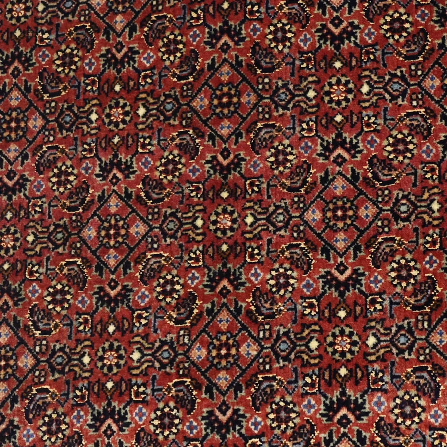 Bidjar Teppich 148x91cm - Perserteppich - Image 2