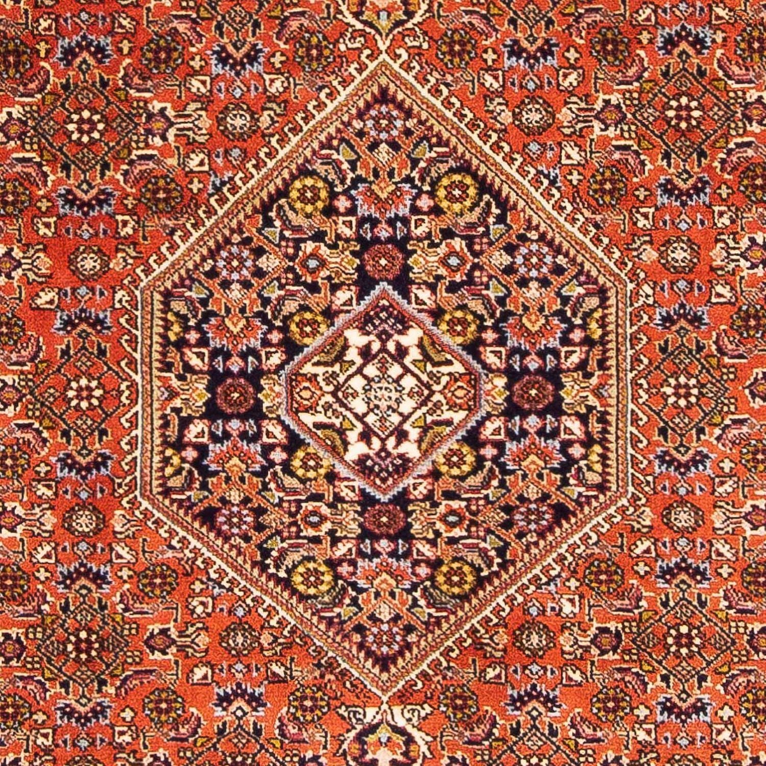 Perserteppich - Bidjar - Royal 162 x 106 cm - rosa - Image 2