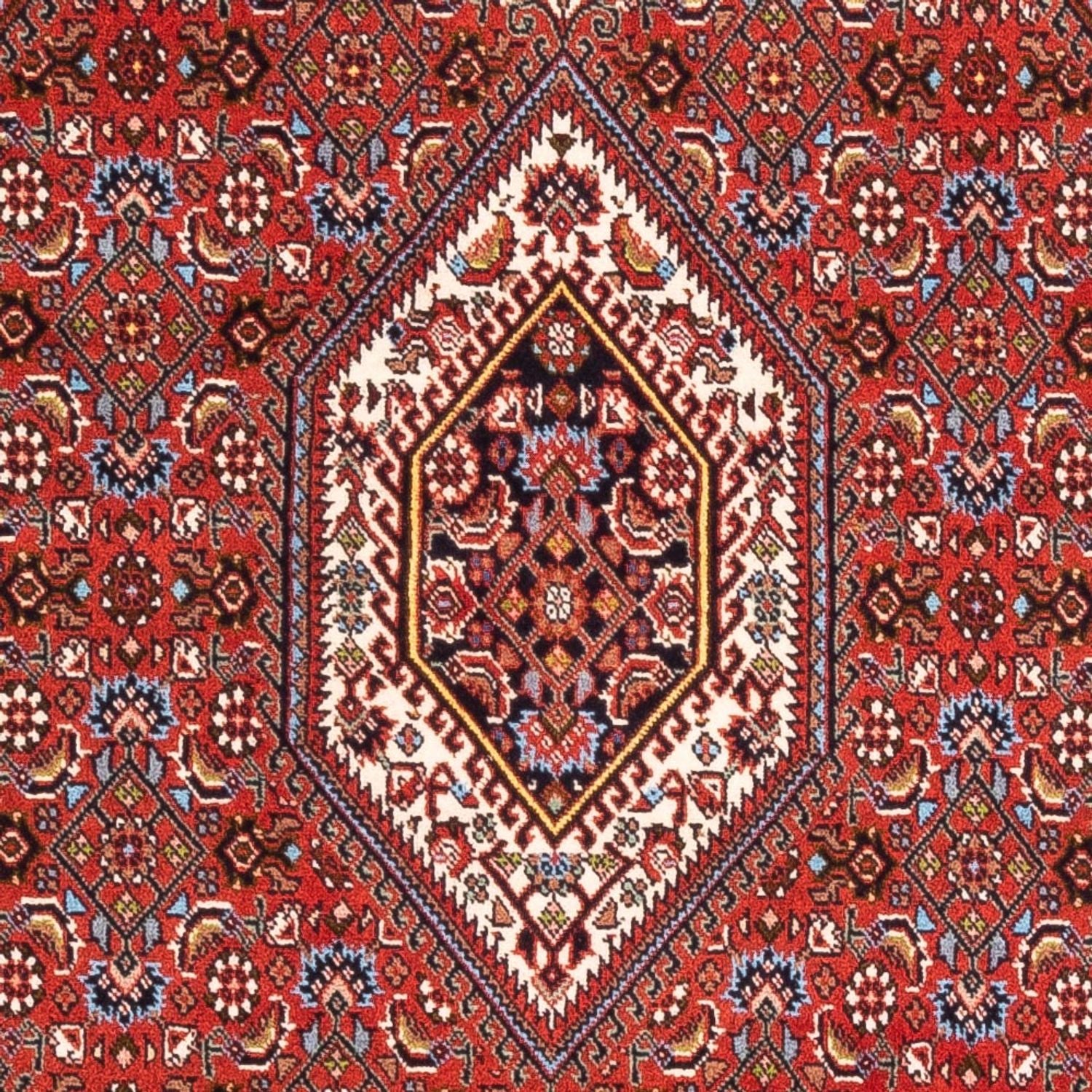 Bidjar - Bukan Teppich 174x107cm - Perserteppich - Image 2