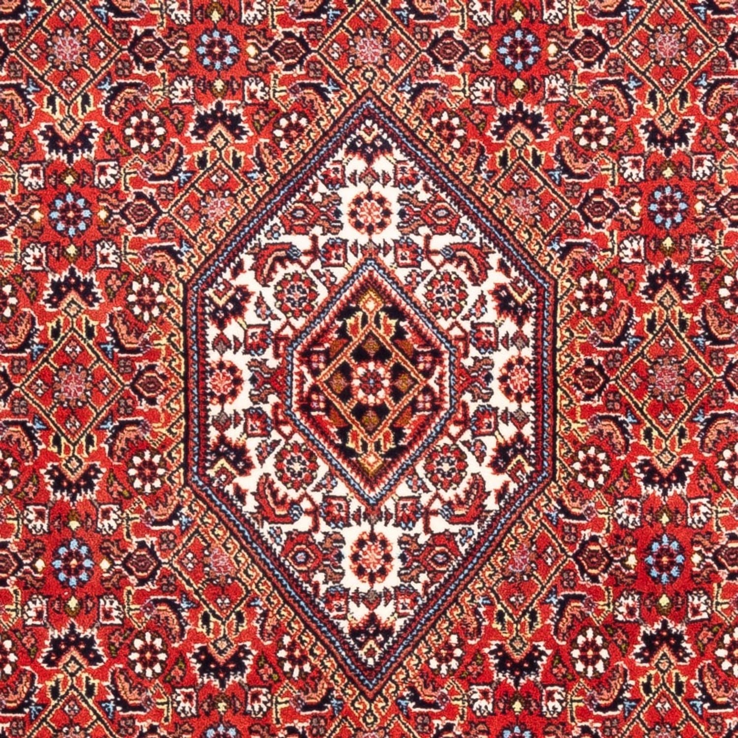 Bidjar - Bukan Teppich 174x108cm - Perserteppich - Image 2