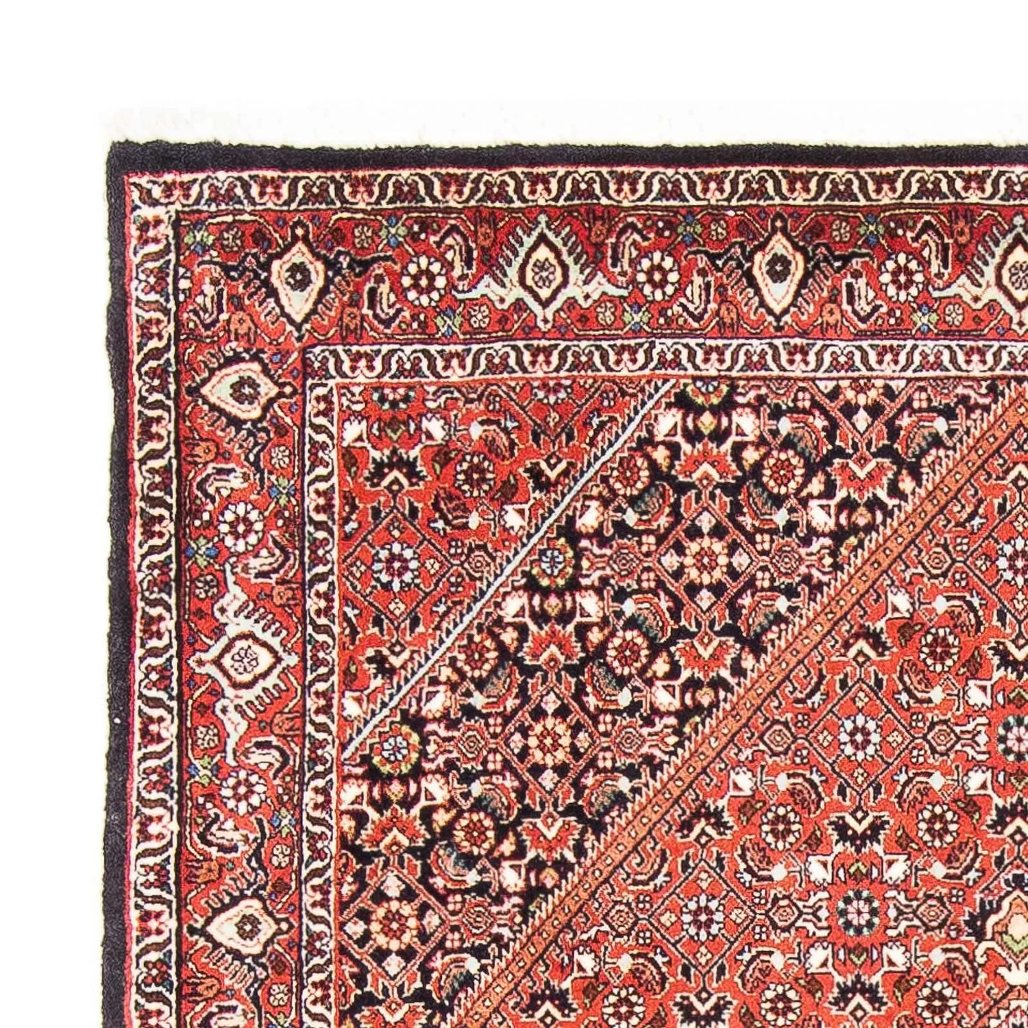Bidjar Teppich 179x111cm - Perserteppich - Image 3