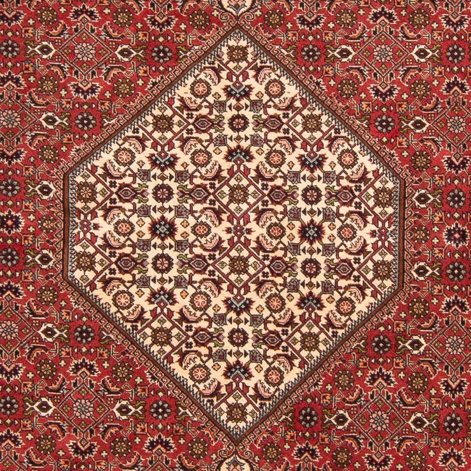 Bidjar - Bukan Teppich 260x200cm - Perserteppich - Image 2