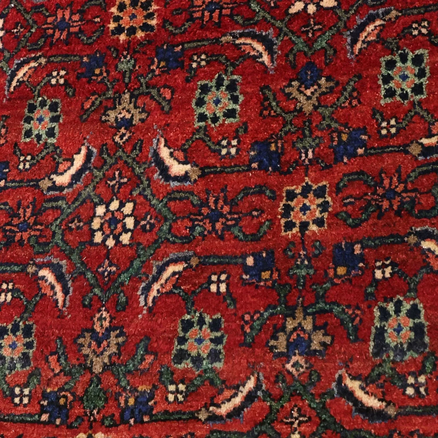 Bidjar Teppich 288x168cm - Perserteppich - Image 2