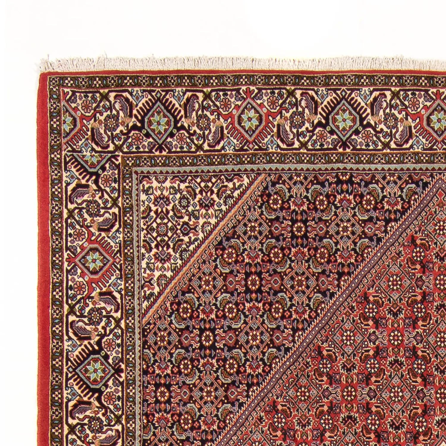 Bidjar - Bukan Teppich 294x200cm - Perserteppich - Image 3