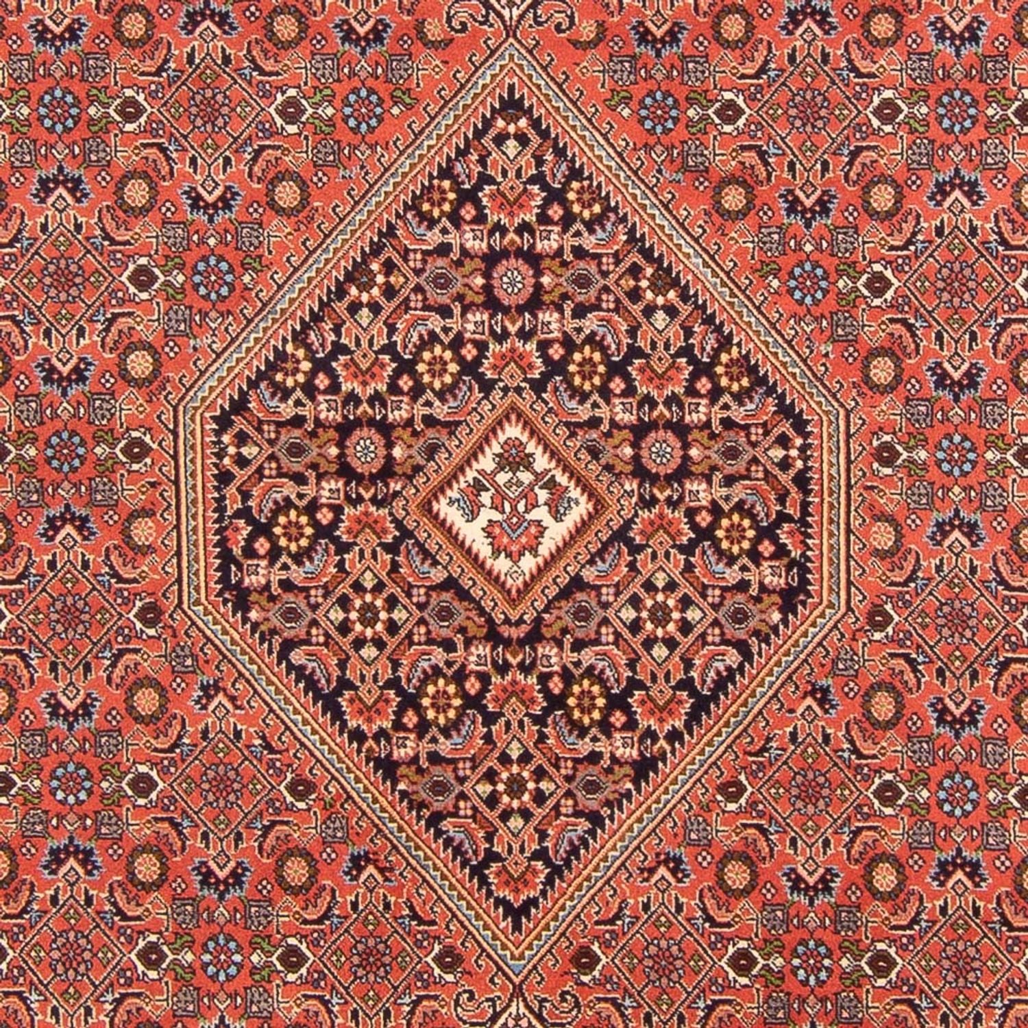 Bidjar - Bukan Teppich 300x200cm - Perserteppich - Image 2