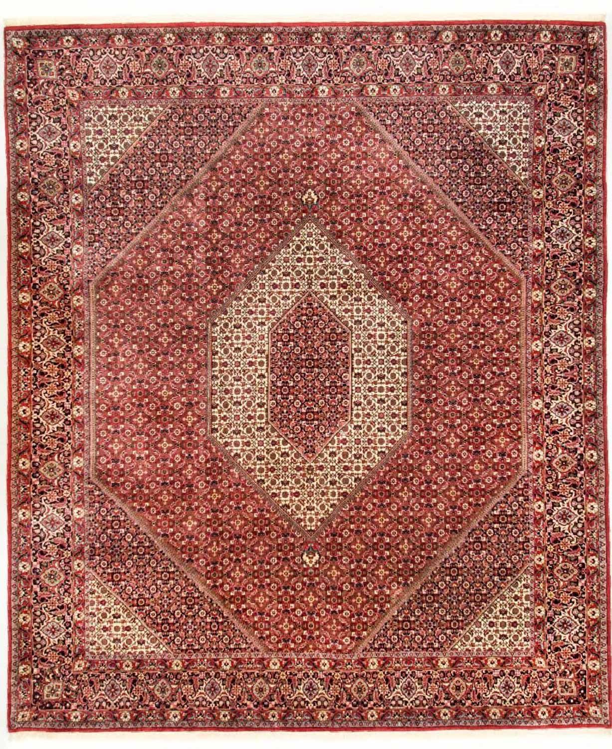 Bidjar - Takab Teppich 310x250cm - Perserteppich