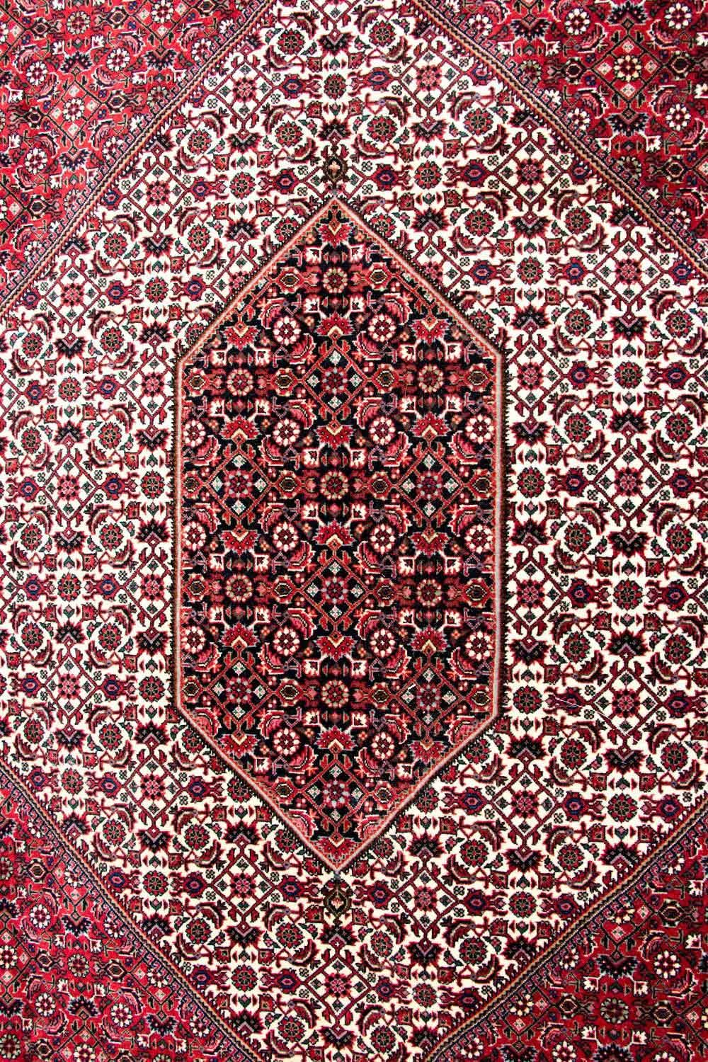 Bidjar - Takab Teppich 310x250cm - Perserteppich - Image 2