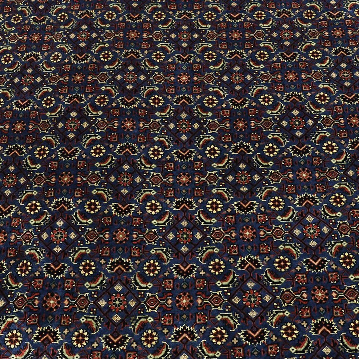 Bidjar Teppich 319x256cm - Perserteppich - Image 2