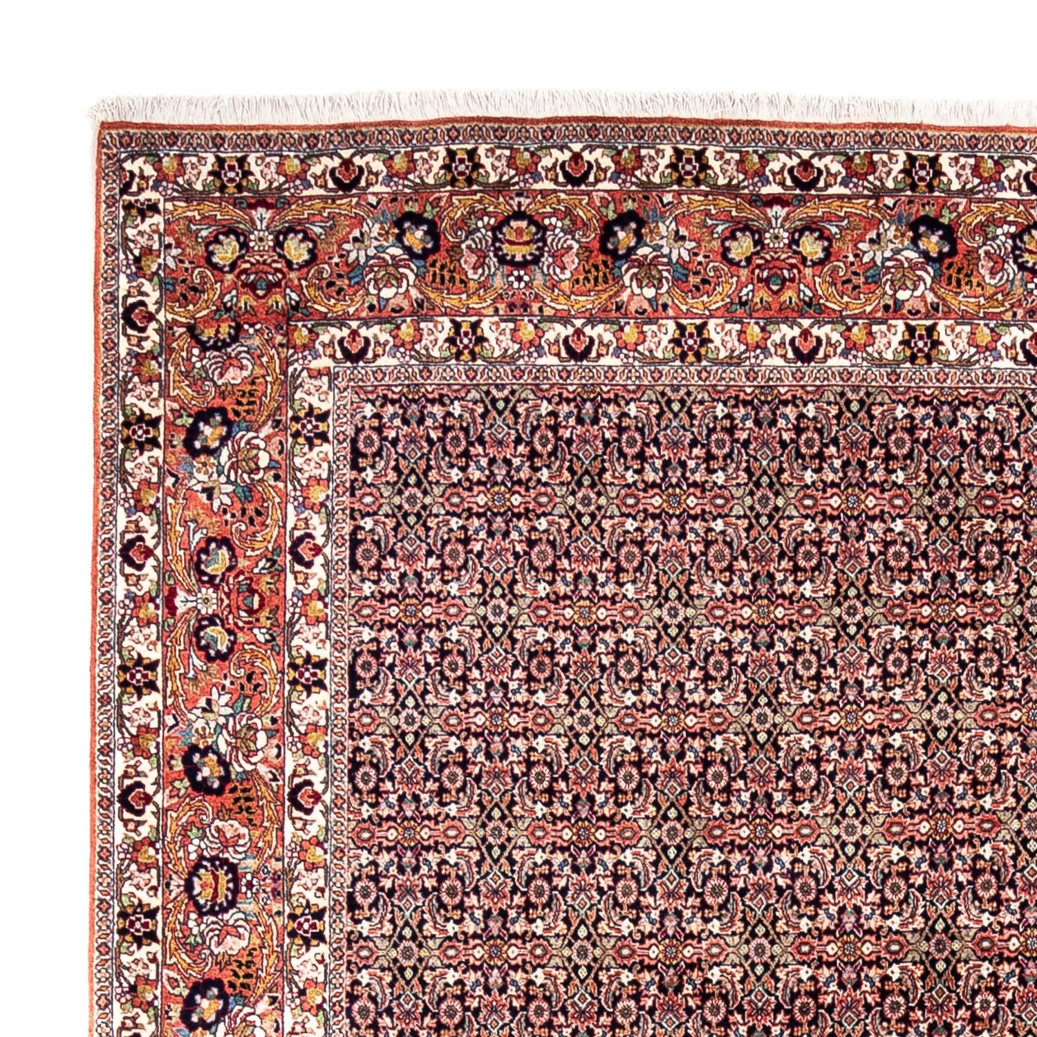 Perserteppich - Bidjar - Royal 332 x 248 cm - rost - Image 3