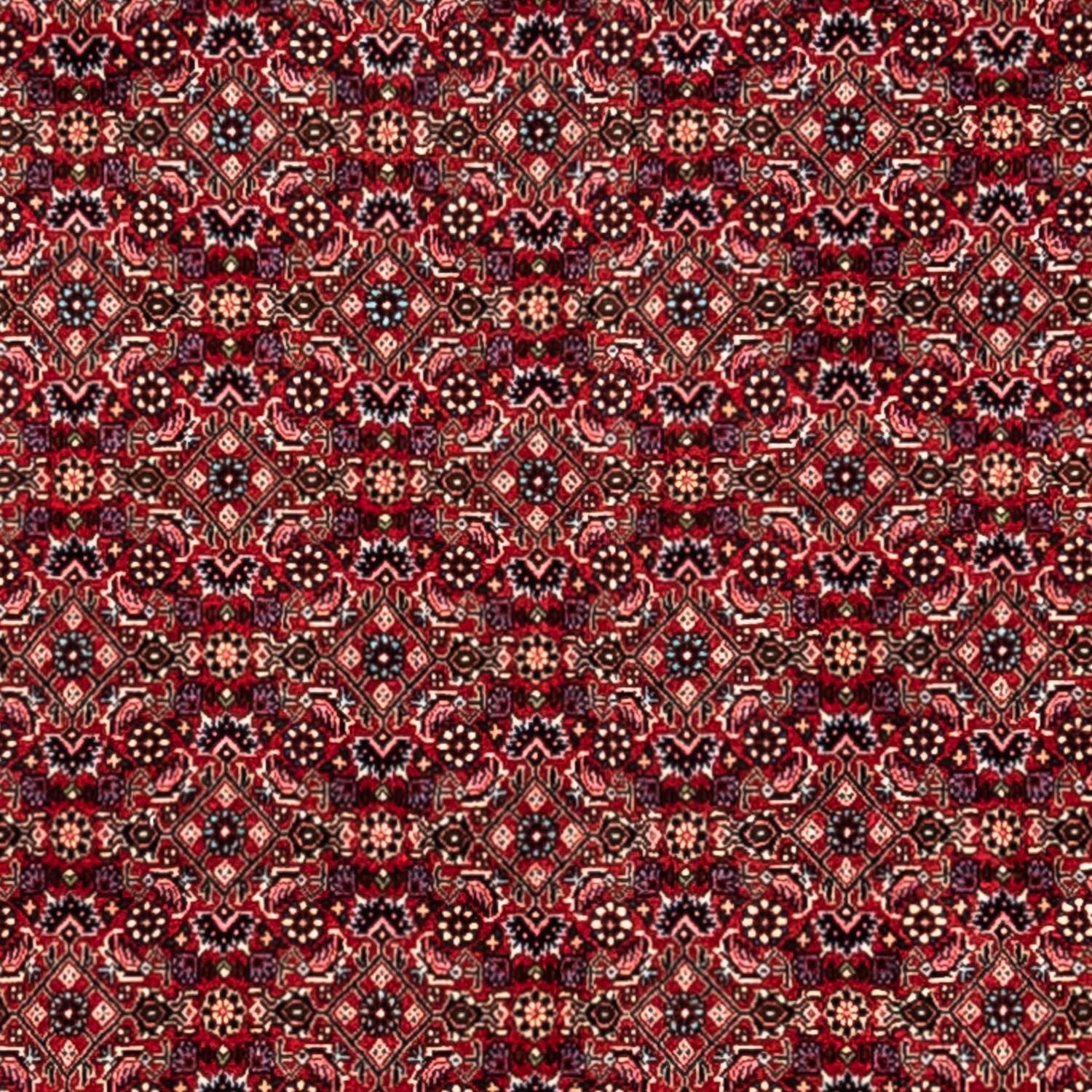 Perserteppich - Bidjar - Royal 337 x 252 cm - rot - Image 2