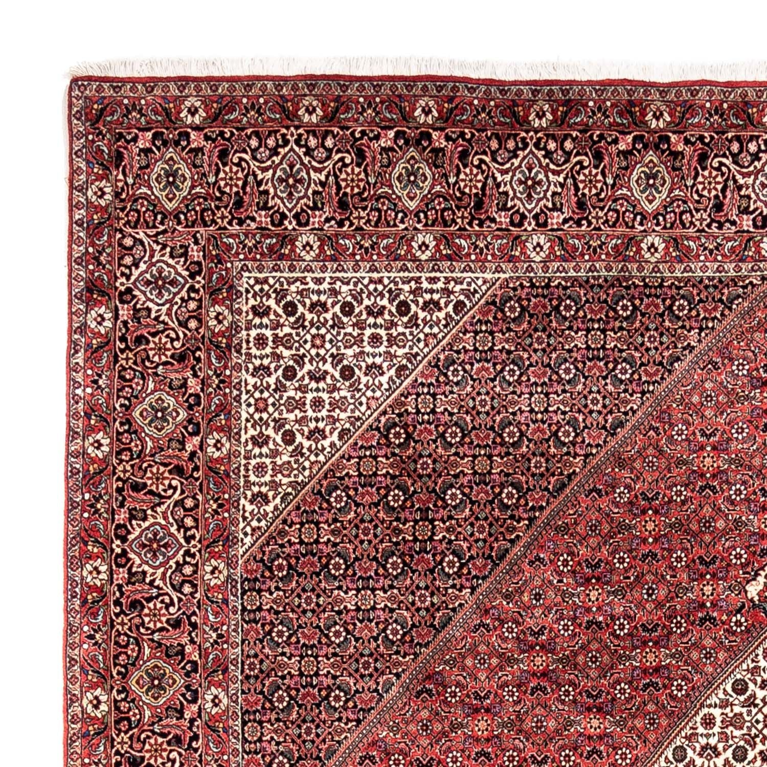 Perserteppich - Bidjar - Royal 350 x 252 cm - rot - Image 3