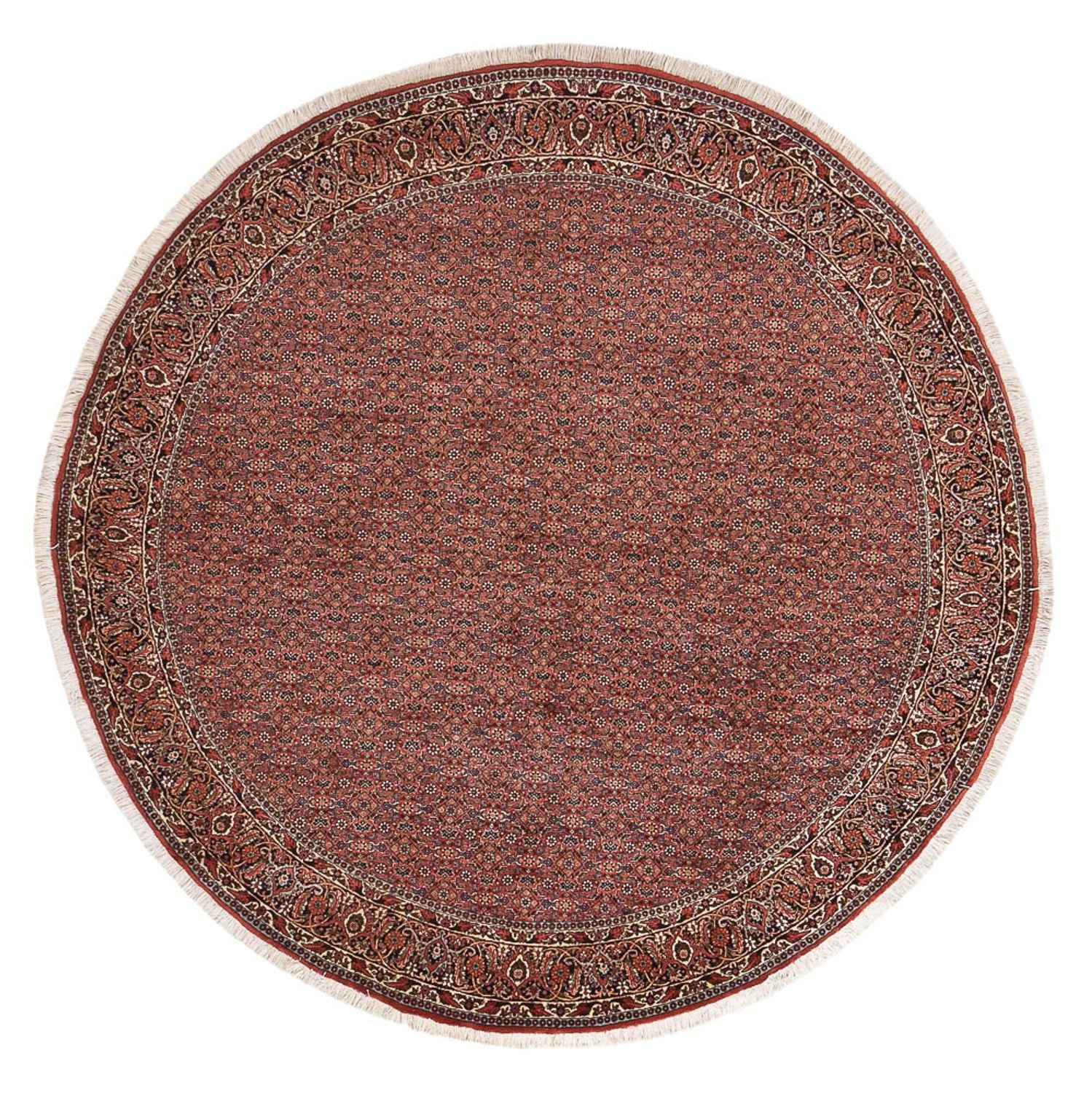 Bidjar Teppich 255x255cm - Perserteppich